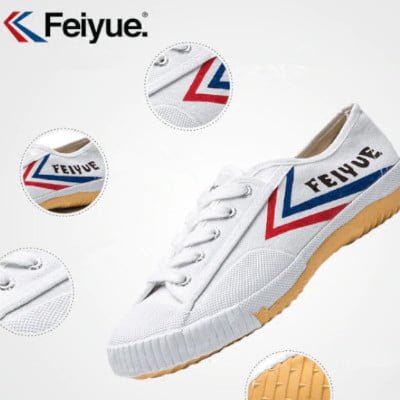 feiyue 501 shoes